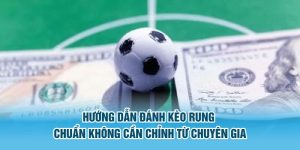 Hướng Dẫn Đánh Kèo Rung Chuẩn Không Cần Chỉnh Từ Chuyên Gia