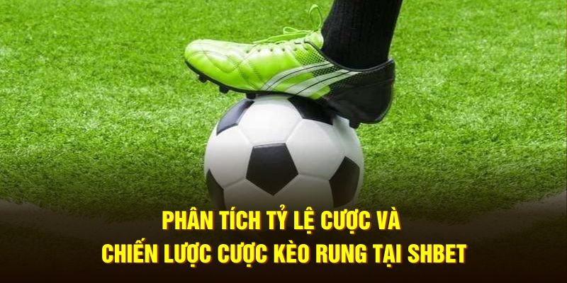 Phân tích tỷ lệ cược và chiến lược cược kèo rung tại SHBET