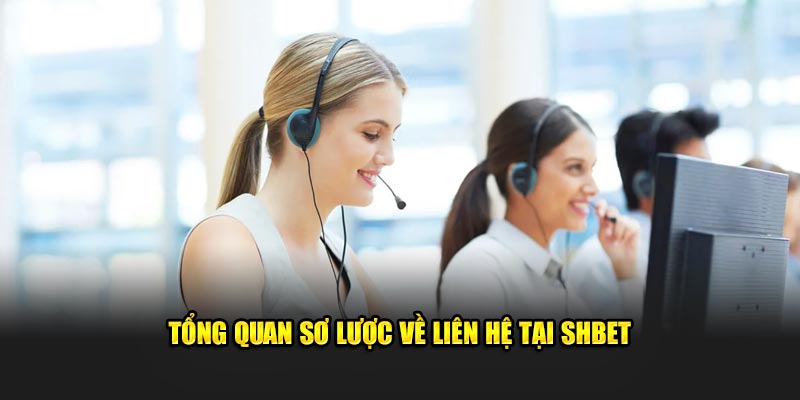 Khám Phá Thế Giới của Shbet Thử Nghiệm, Đổi Mới và Tương Lai Tươi Sáng